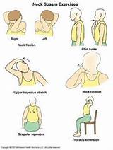 Spine Physical Therapy Exercises Images