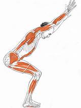 Pictures of Yoga Anatomy Online Study