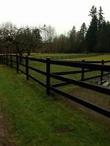 Images of Stud Fencing For Horses
