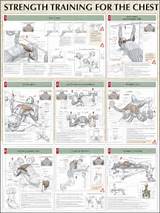 What Are Strength Training Exercises Photos