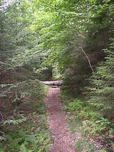 Photos of Hiking Trails In Old Forge Ny