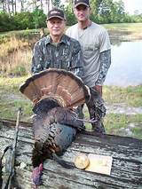 Osceola Turkey Hunting Outfitters Photos