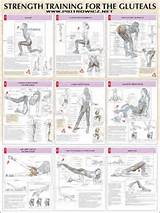 Good Strength Training Exercises Pictures
