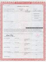 Nc Vehicle Title Transfer Images