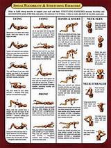 Muscle Stretching Exercises Pictures
