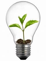 Led Light Bulb Wiki