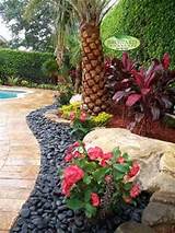 Images of Tropical Pool Landscaping Ideas