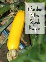 Yellow Squash Easy Recipes Photos