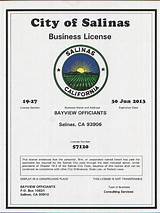 Pictures of State Of Tn Business License Search