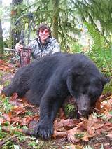 Canadian Bear Hunting Outfitters Photos