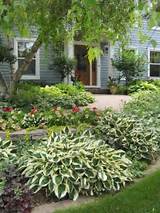 Photos of Front Yard Landscaping Hosta
