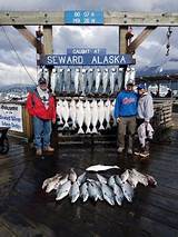Images of Seward Alaska Fishing Charters Reviews