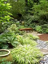 Lush Garden Landscaping Images