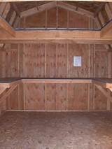 Shed With Shelves Images