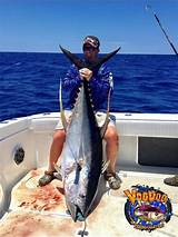 Images of Tuna Com Fishing Charters