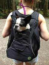 Images of Boston Terrier Carrier Bag