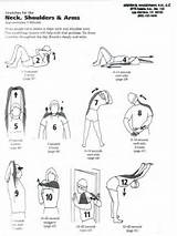 Pc Muscle Exercise In Pdf Photos