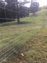 Electric Dog Fence For Large Yards Images