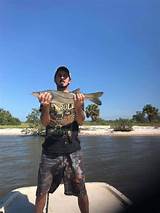 Cedar Key Fishing Report Pictures