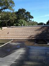 Images of Roof Cleaning Weston Fl