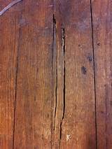 Wood Floor Termite Damage Pictures