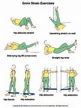 Strengthening Your Groin Muscle Images