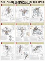 Pictures of Lumbar Strengthening Exercise Program