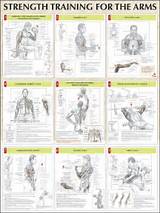 Best Weight Lifting Exercises