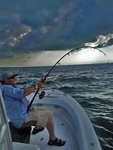 Photos of Tampa Bay Tarpon Fishing