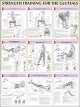 Images of Muscle Strengthening Exercises For Legs