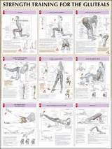 Muscle Workout Chart