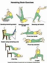 Hamstring Workout Exercises Pictures