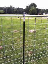 Photos of Cheap Farm Fence