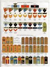 Pictures of What Are The Ranks In The Army