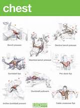 Chest Exercises Pictures