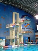 Pictures of Swimming Pool Diving Board