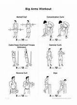 Pictures of Workout Exercises Arms