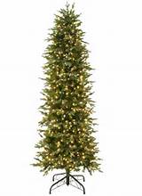 Xmas Tree Storage Ideas Images