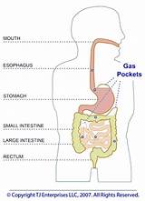 What Causes Stomach Discomfort And Gas Images