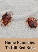 Pictures of Effective Home Remedies For Bed Bugs