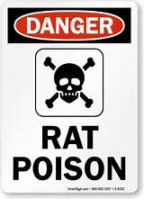 Photos of Most Effective Rat Poison