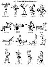 Photos of Muscle Exercises With Weights