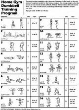 Exercise Program With Dumbbells Pictures