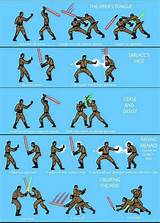 Pictures of Star Wars Fighting Styles