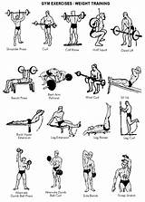 List Of All Workout Exercises Photos