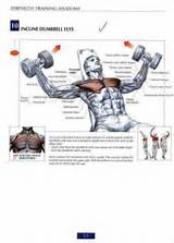 Images of Upper Chest Workouts