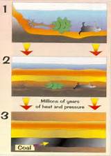 Pictures of How Are Fossil Fuels Formed