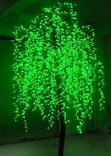 Tree Solar Lights Pictures