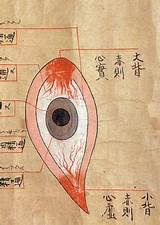Temple Eye Doctor