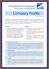 Format Of It Company Profile